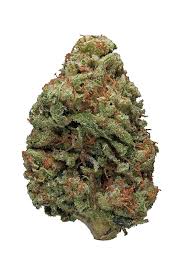 Buy Bruce Banner Strain
