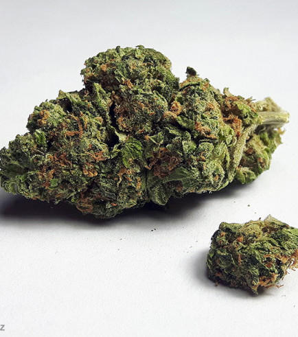 CBD Zkittlez Cannabis Strain CBD Zkittlez Cannabis Strain