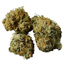 Buy Gorilla Glue strain