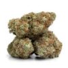 Buy Hash Plant Strain
