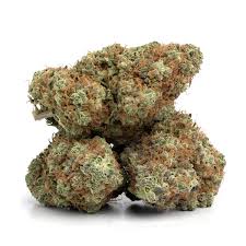 Buy Hash Plant Strain