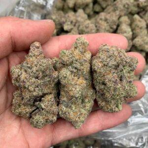 Sativa Weed Strains Europe