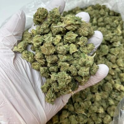 Indica Weed Strains Europe