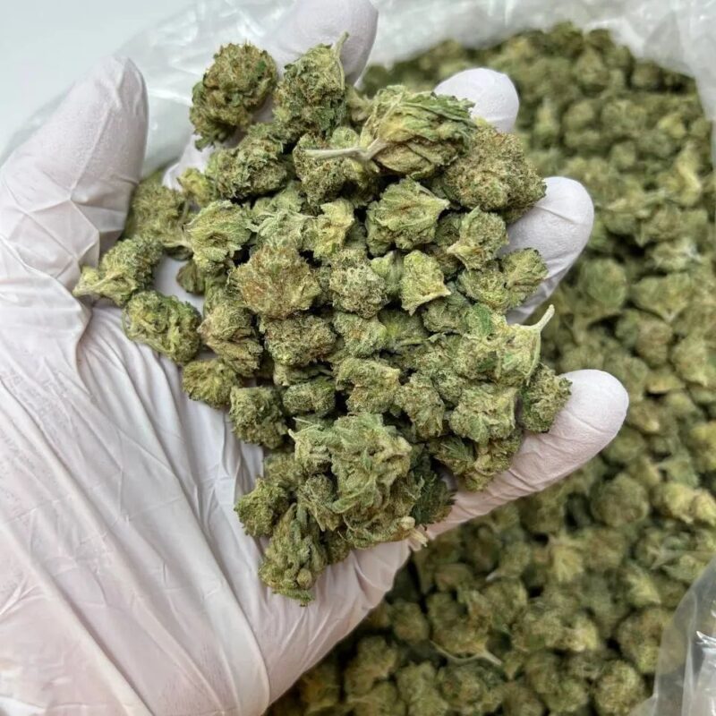 Indica Weed Strains Europe